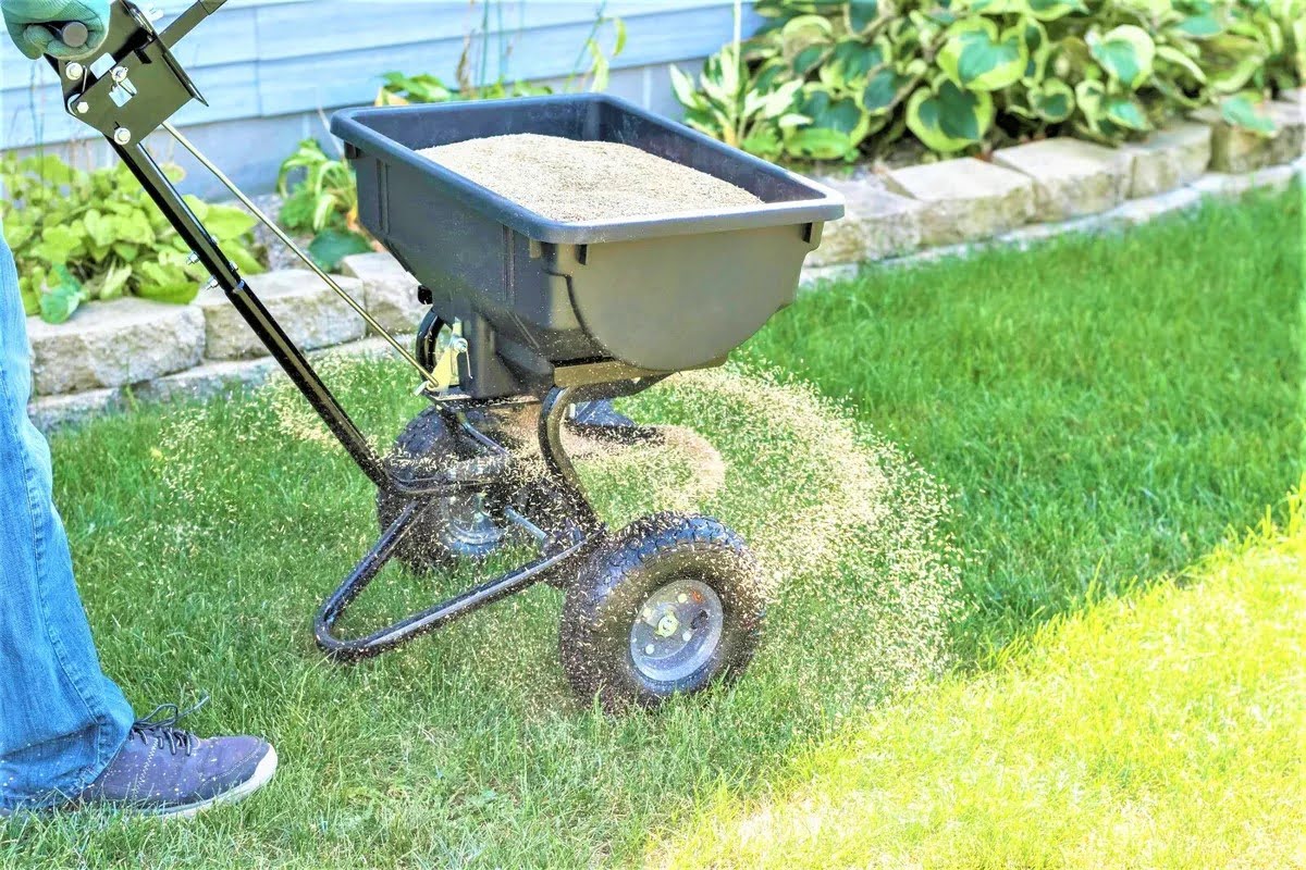 When To Plant Spring Grass Seed