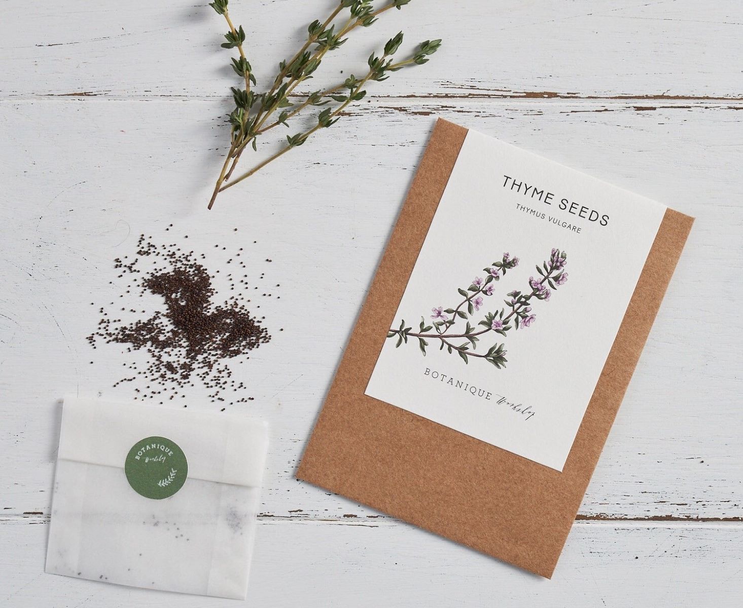When To Plant Thyme Seeds