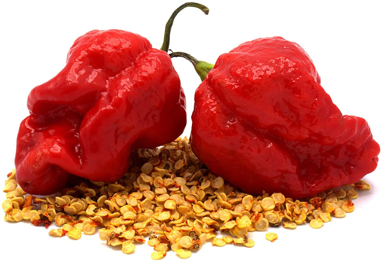 When To Start Hot Pepper Seeds Indoors