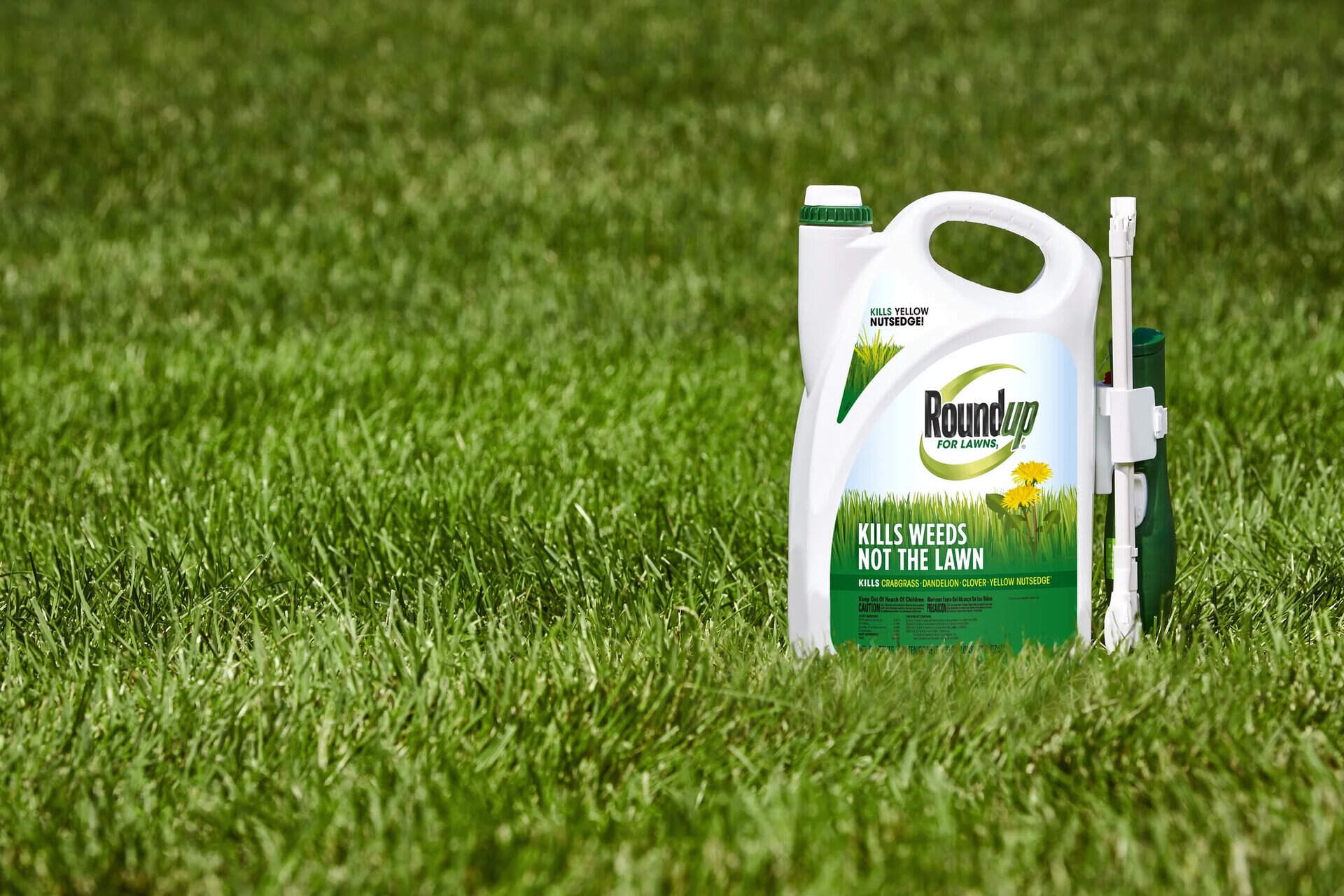 When To Use Roundup For Lawns