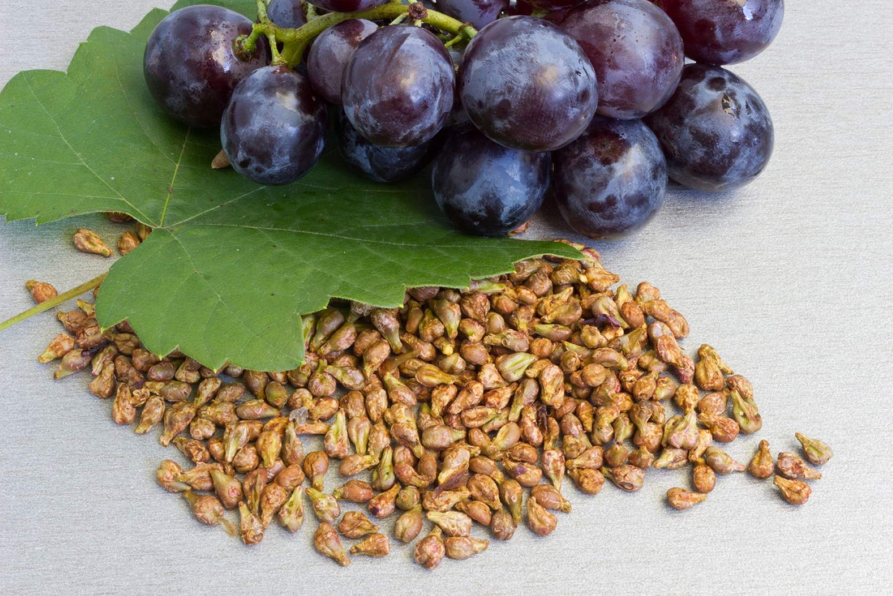 Where Can I Find Grapes With Seeds