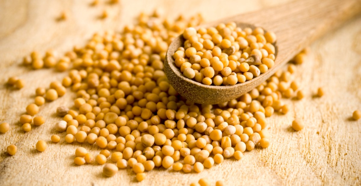 Where Can I Find Mustard Seeds