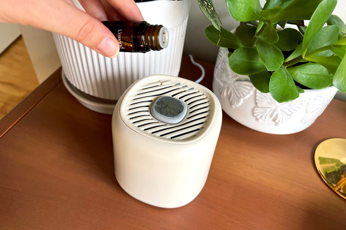 Where Do I Put The Essential Oil In My Diffuser