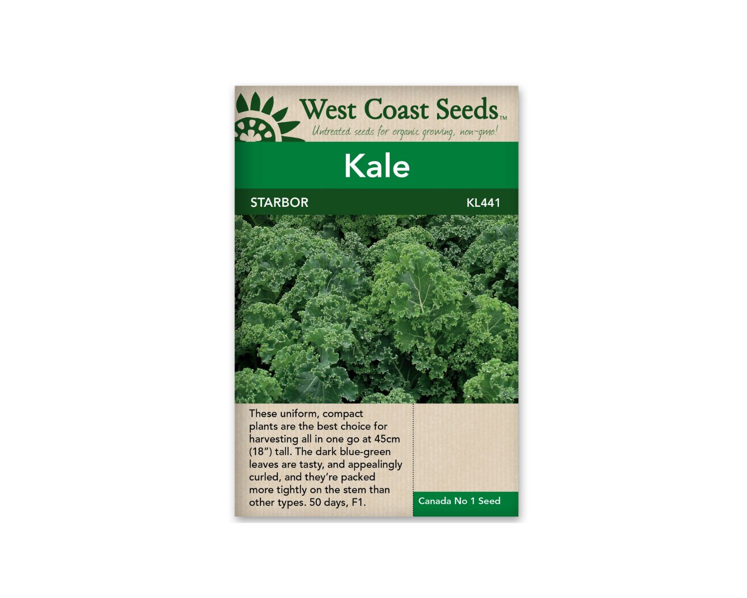 Where Do Kale Seeds Come From