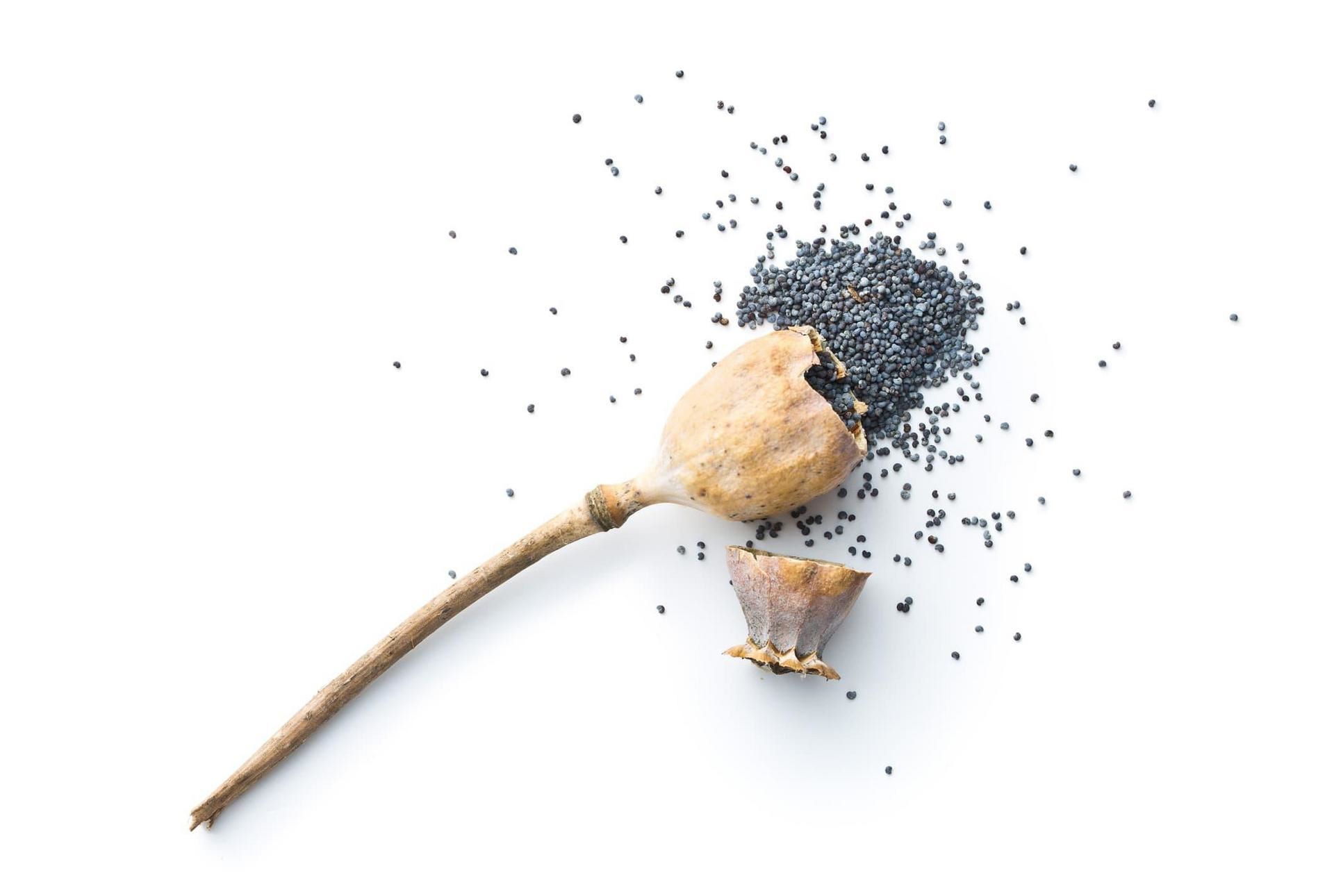 Where To Get Poppy Seeds