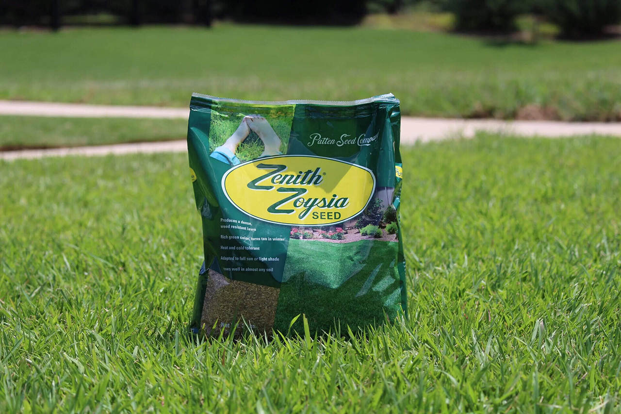 Where To Get Zoysia Grass Seed