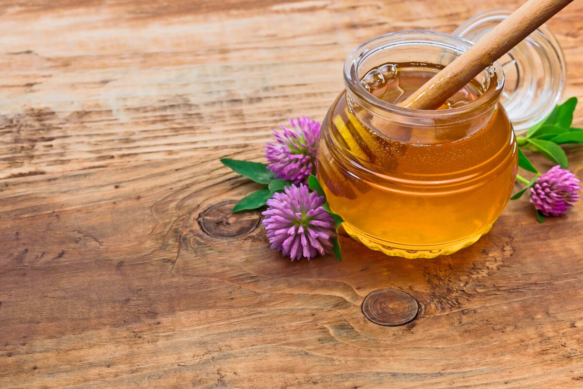 Which Honey Is Better: Wildflower Or Clover?