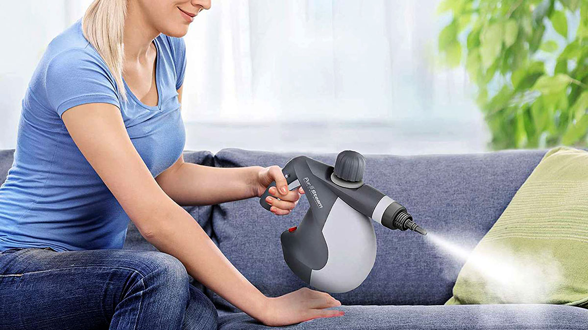 Which Is The Best Handheld Steam Cleaner