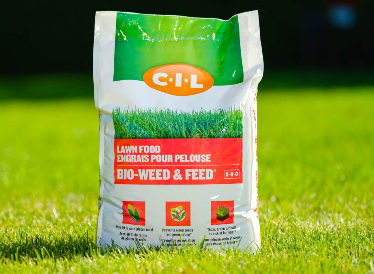 Which Is The Best Weed And Feed For Lawns