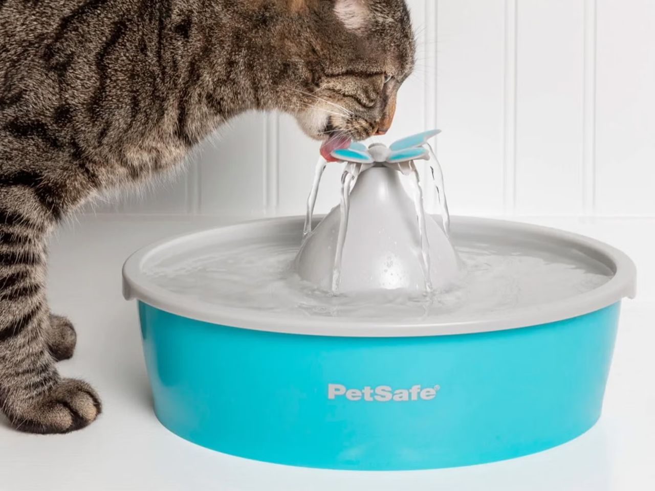 Why Cat Water Fountain