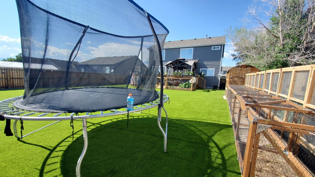 Why Does Grass Grow Better Under A Trampoline
