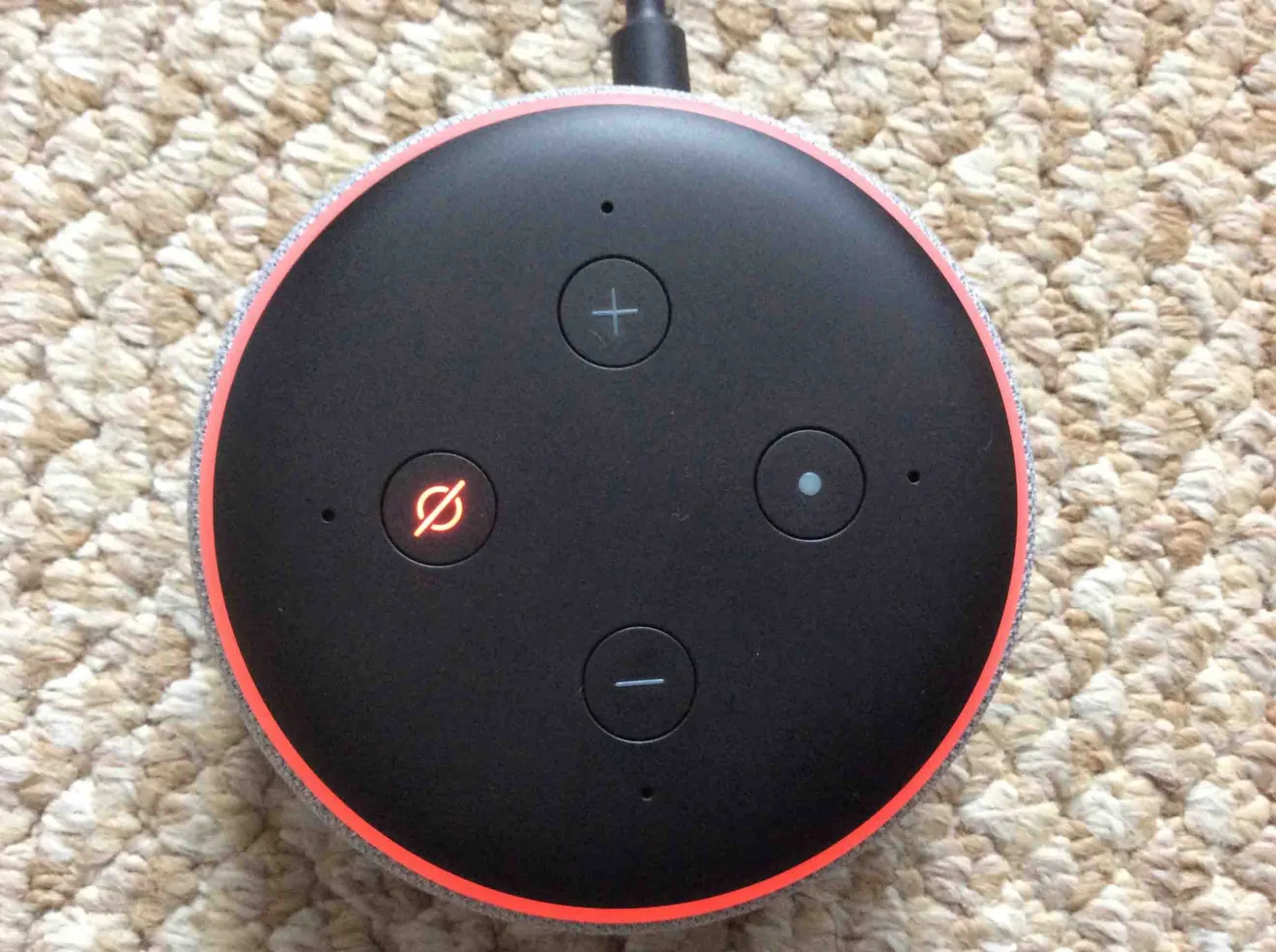 Why Is My Alexa Device Not Playing Music