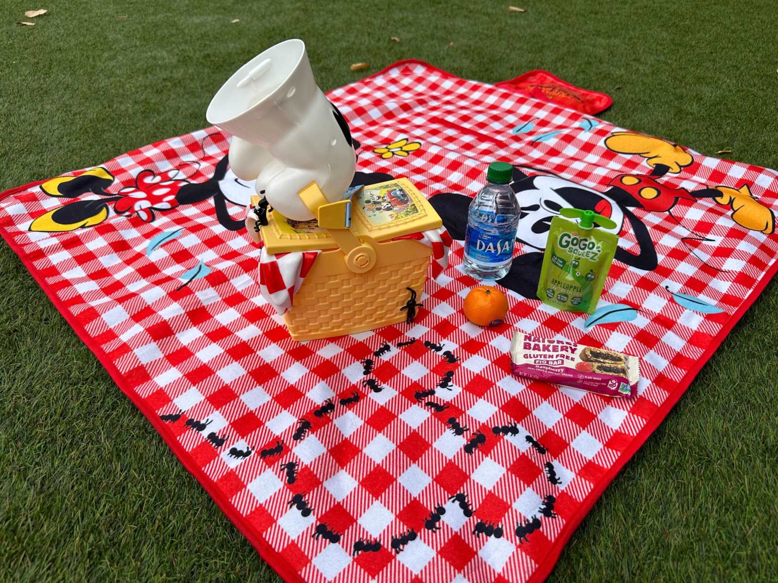 11 Best Picnic Basket With Blanket For 2024