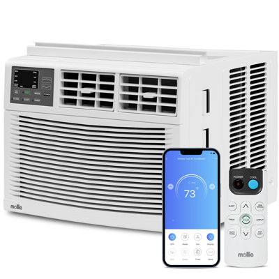 11 Best Minisplit AC Unit For 2024 Storables   12000 Btu Window Air Conditioner 245169389 