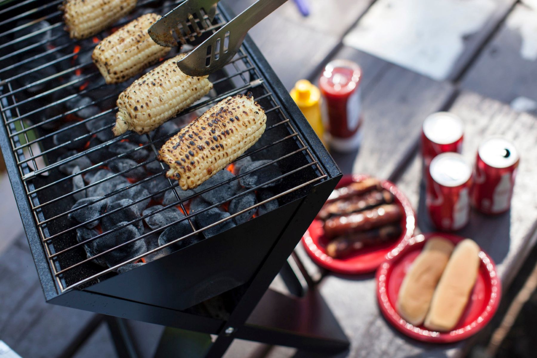 13 Best Picnic Grill For 2024
