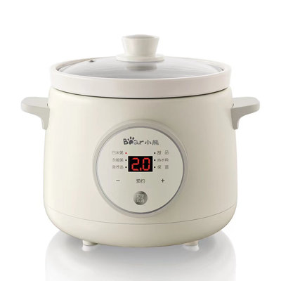 Are Slow Cookers Toxic? - Elevays