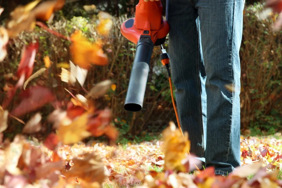 How Does A Leaf Blower Work