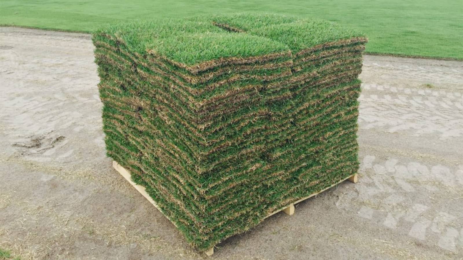 How Heavy Is A Pallet Of Grass