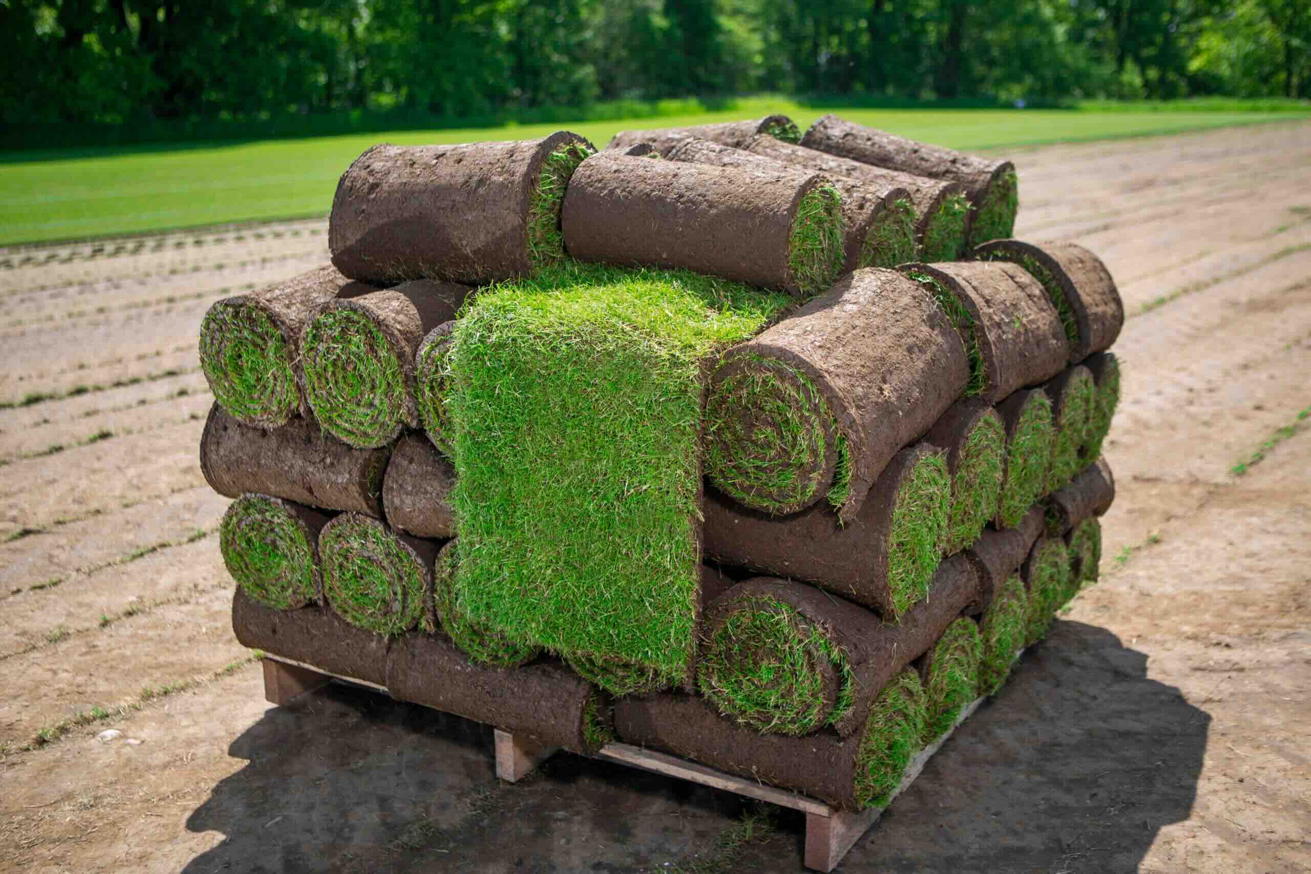How Long Can Grass Stay On A Pallet