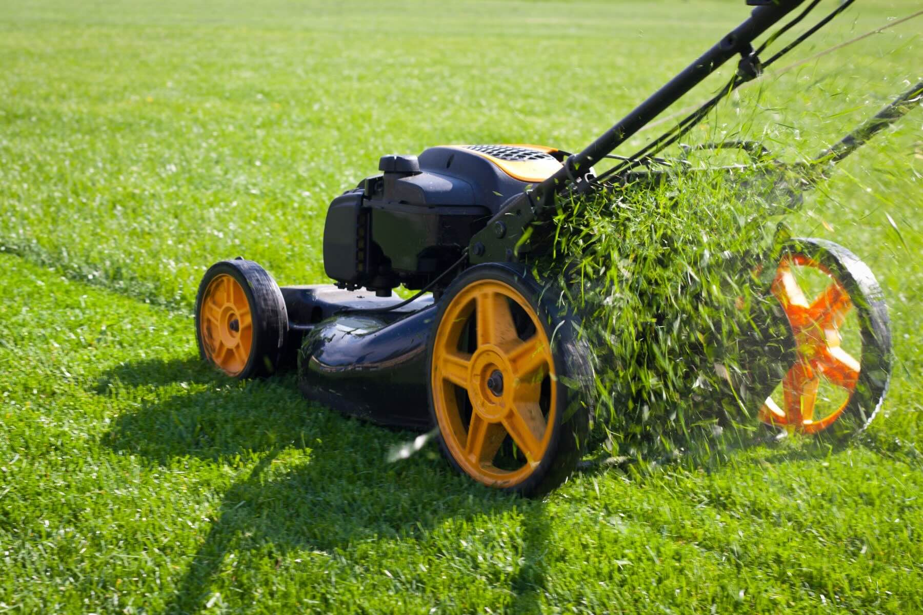 How Long Does A Lawnmower Last Storables