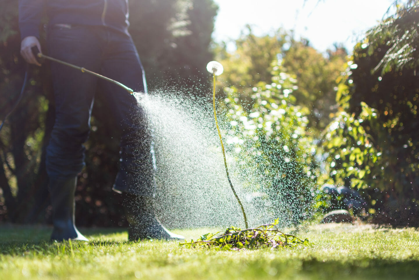 How Long Does Pesticide Last On Grass