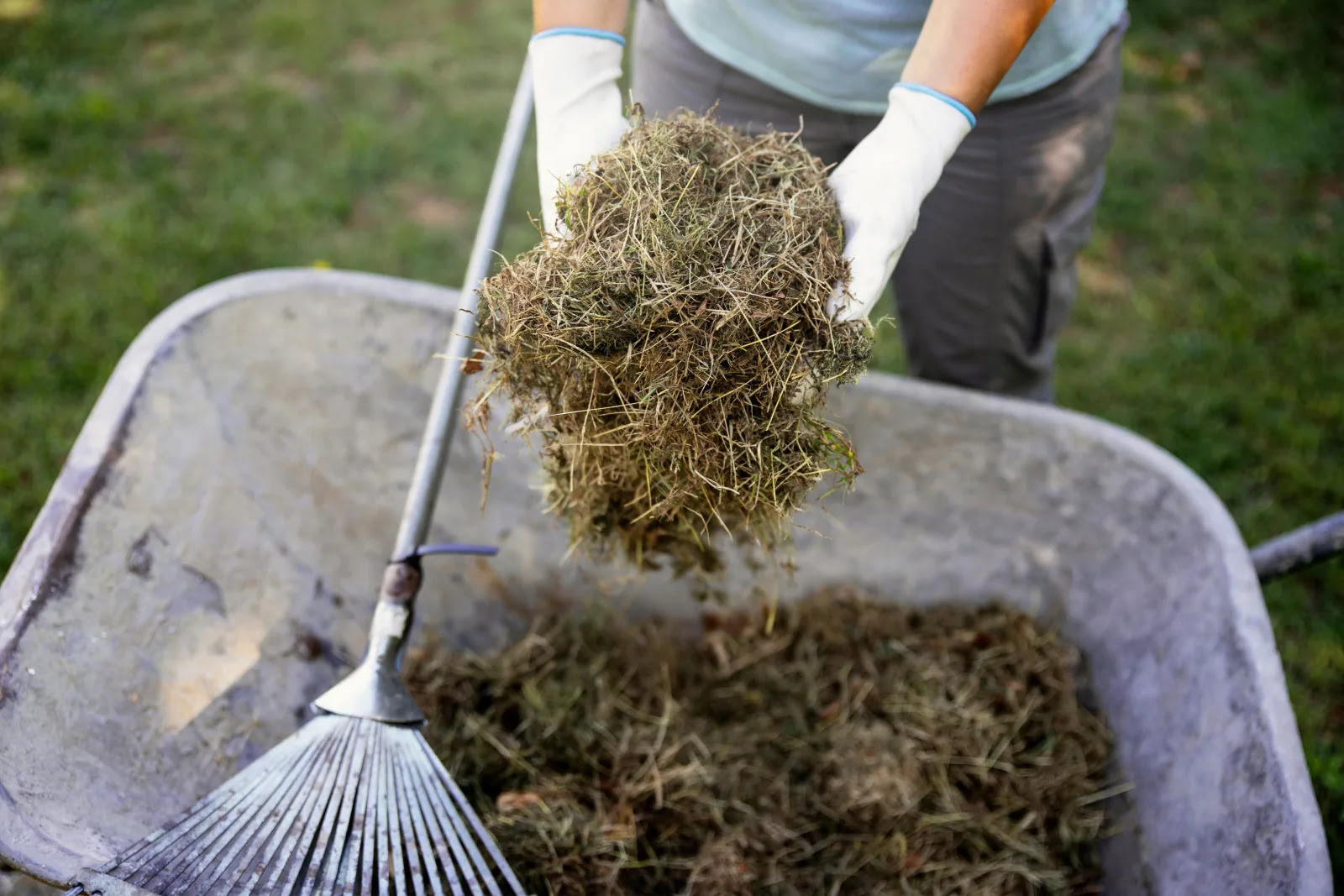 How Long For Grass Clippings To Compost
