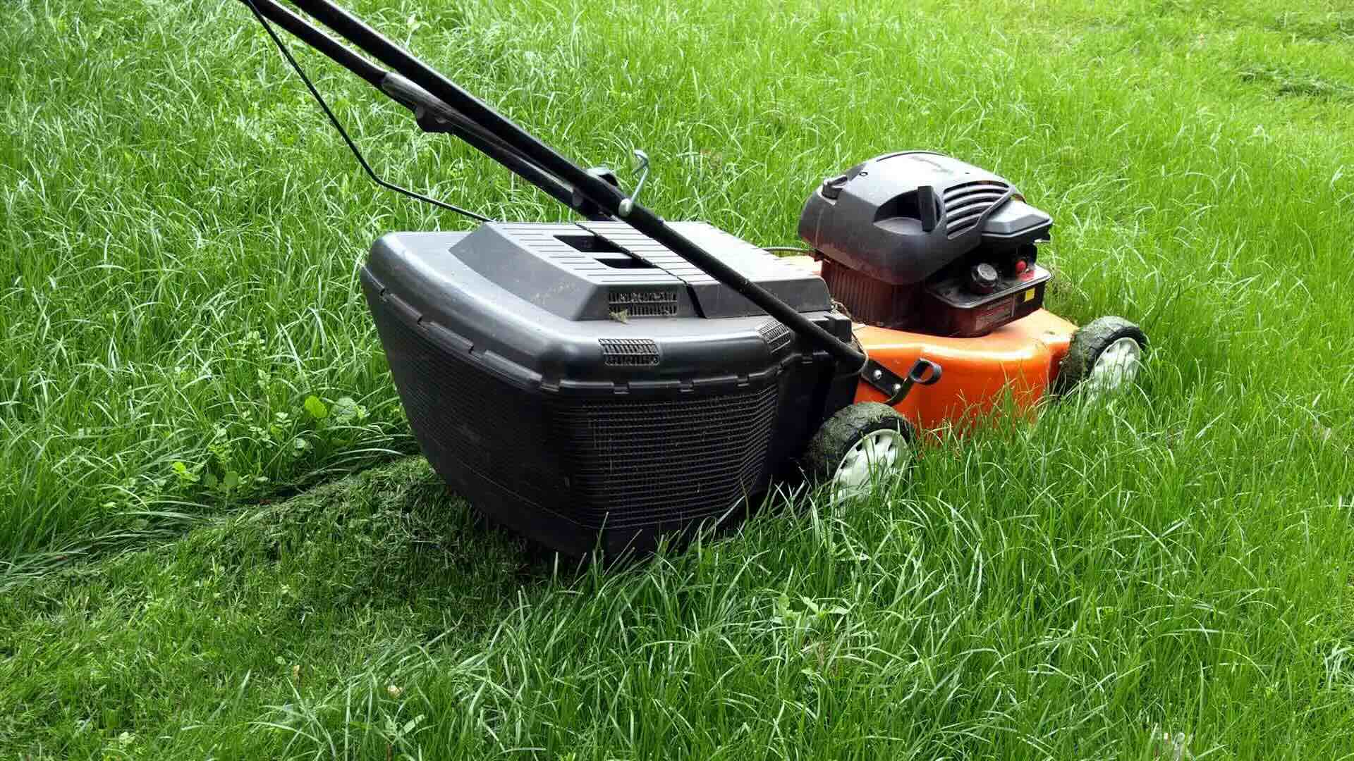 How Long To Let New Grass Grow Before Mowing