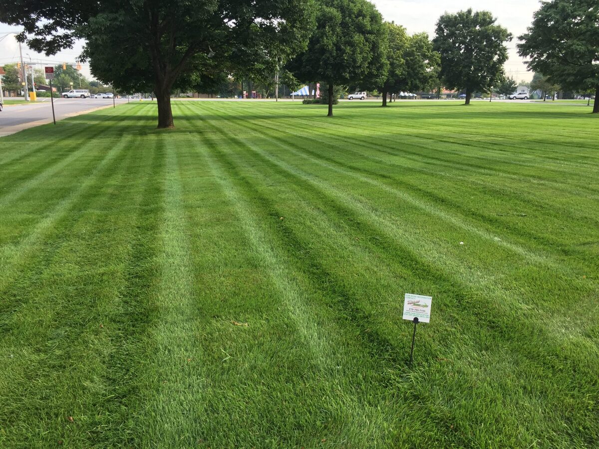 How Long To Stay Off Grass After Treatment