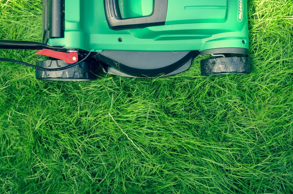 How Long To Wait To Cut Grass After Treatment