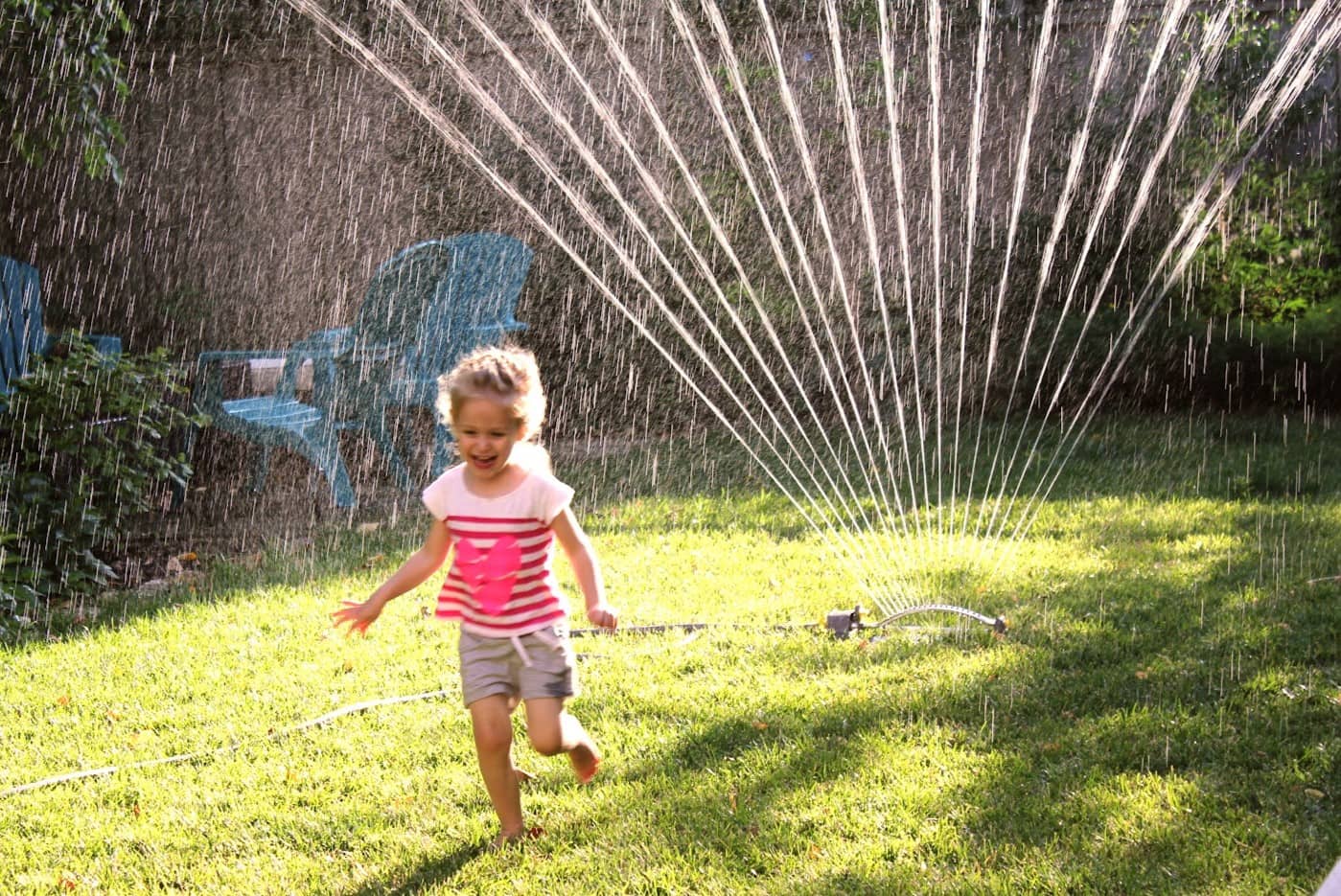 How Long To Water My Grass In The Summer