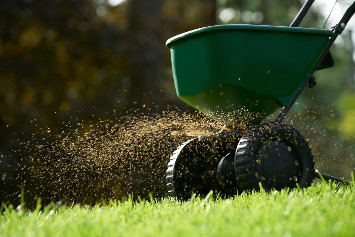 How Many Square Feet Does A 50 Lb Bag Of Grass Seed Cover