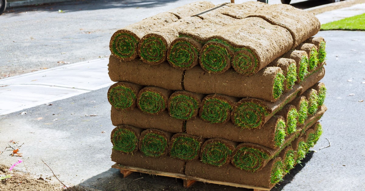 How Many Square Feet In A Pallet Of Sod Grass