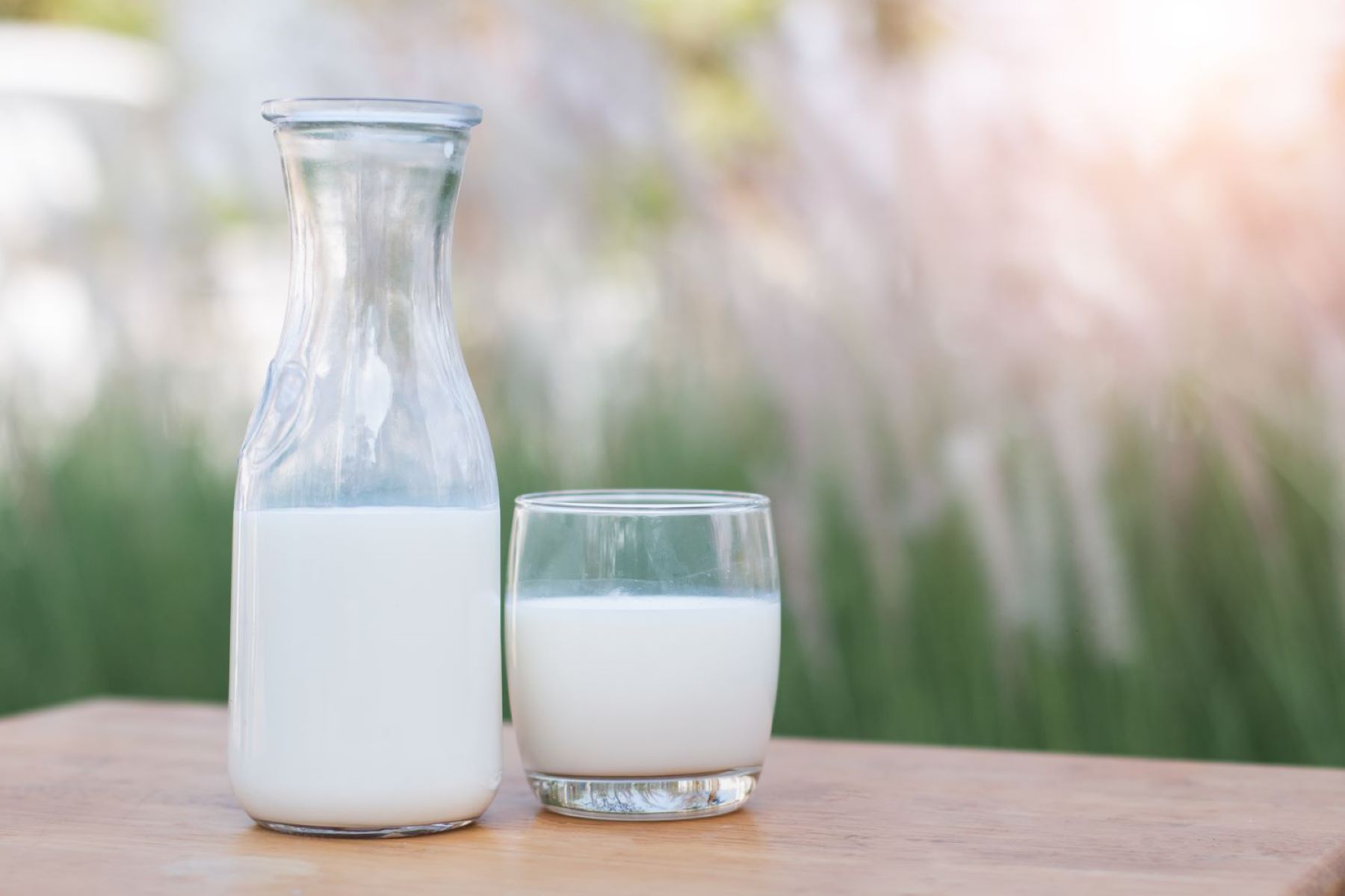 How Much Calcium In A Glass Of Milk