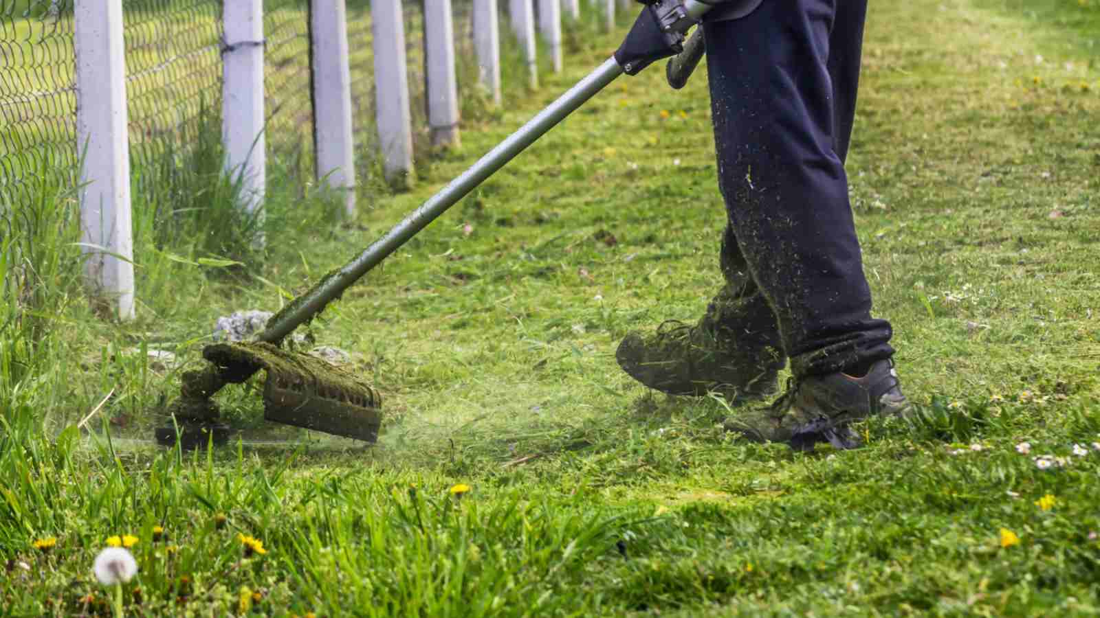 How Much Do Gardeners Charge For Cutting Grass