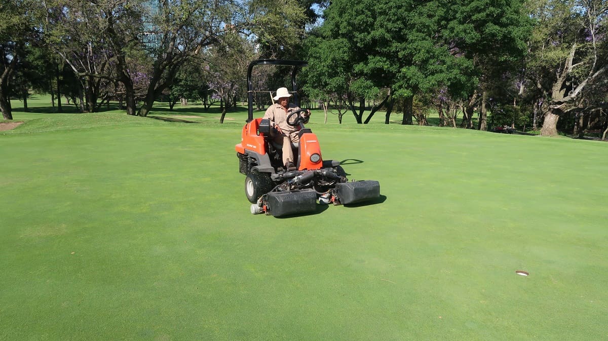 How Often Do Golf Courses Cut Grass