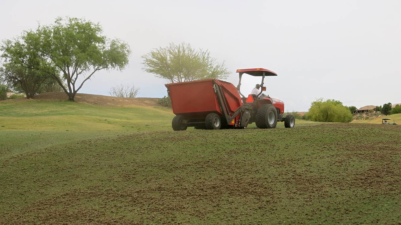 How Often To Dethatch Bermuda Grass