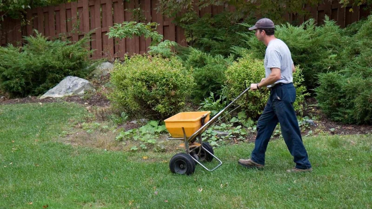 How Often To Fertilize Your Grass