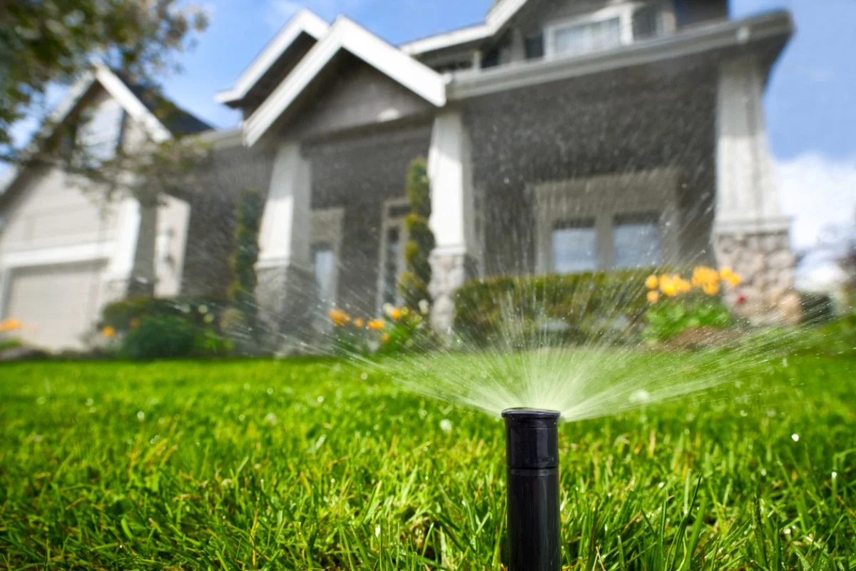 How Often To Water Grass In 90-Degree Weather