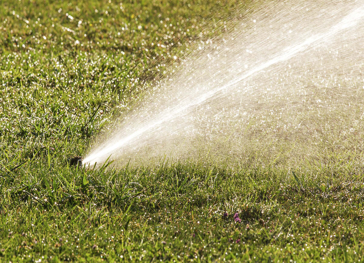 How Often To Water Grass In California