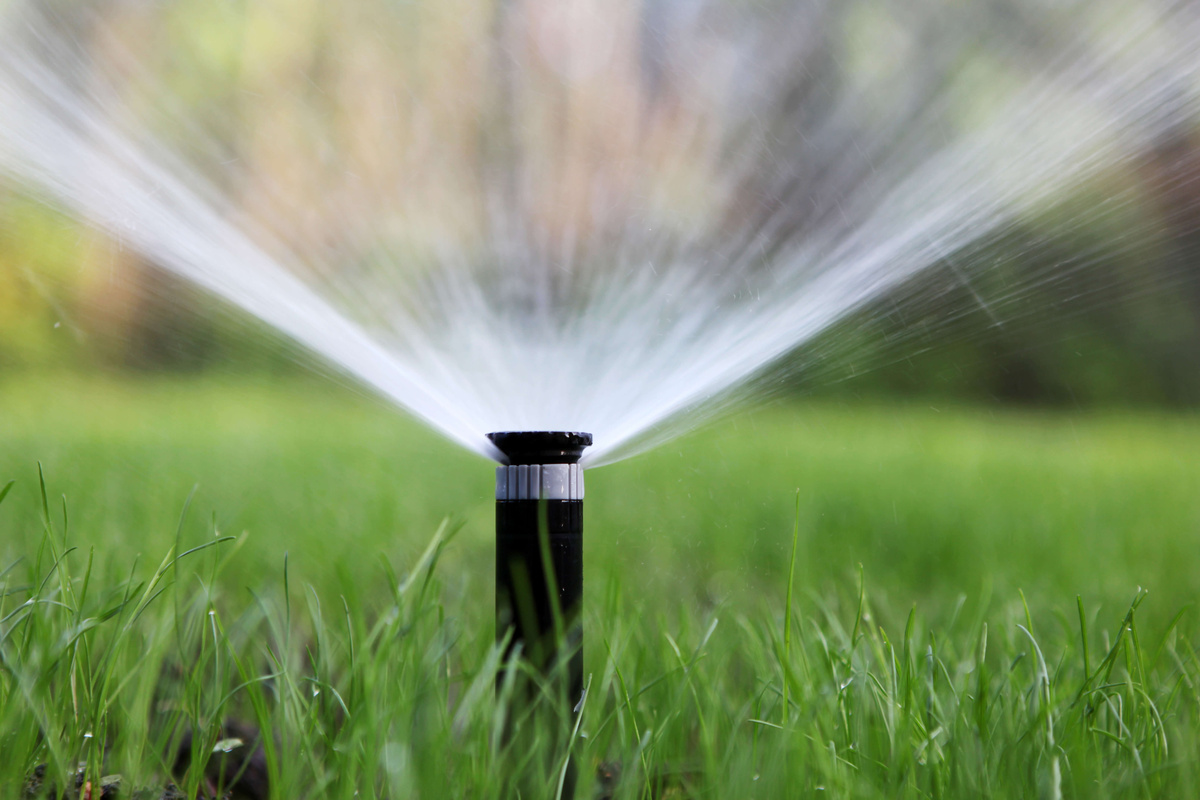 How Often To Water Grass In Florida Winter