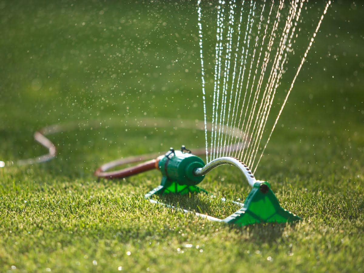 How Often To Water Grass In Texas Summer