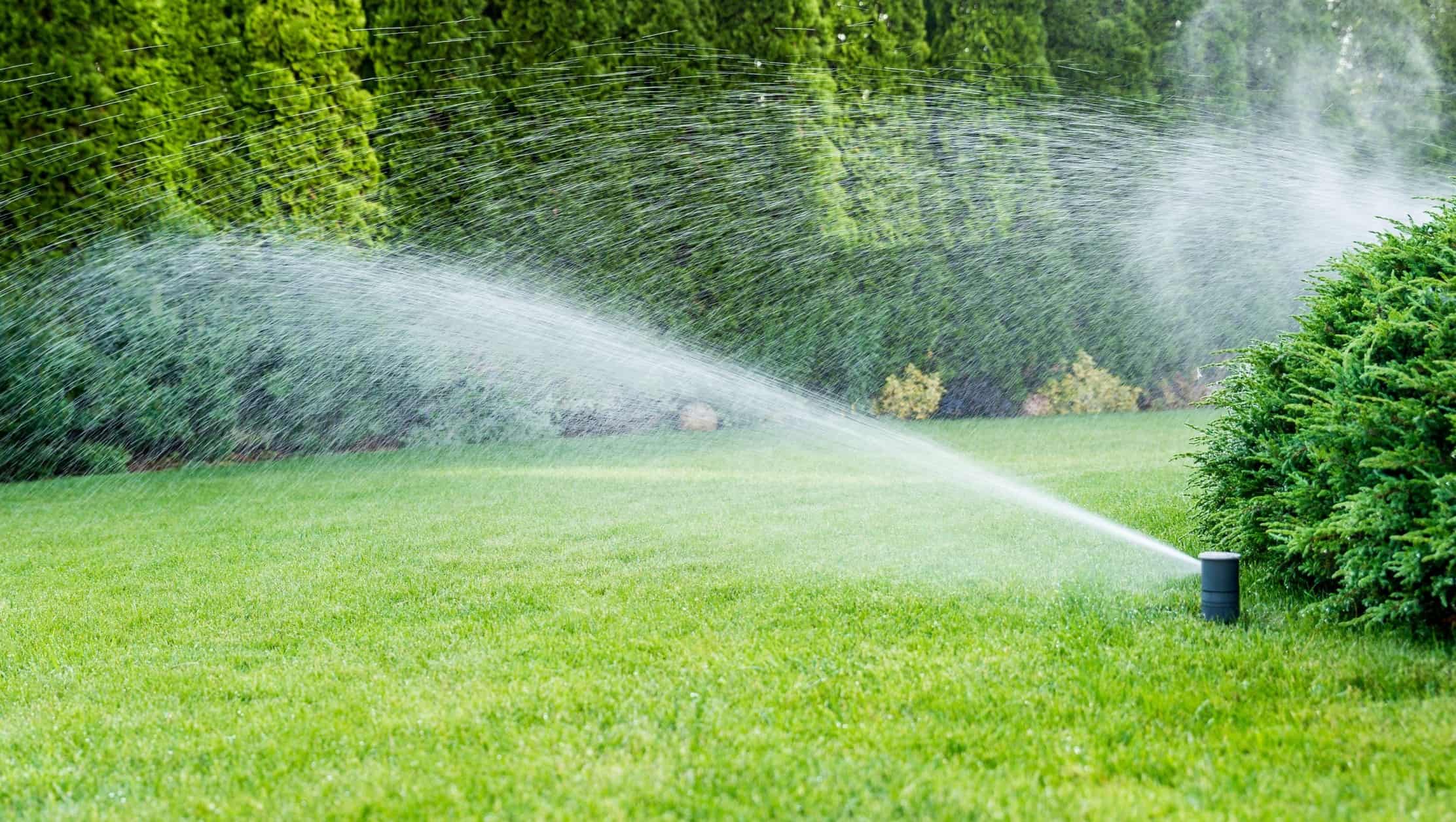 How Often To Water The Grass