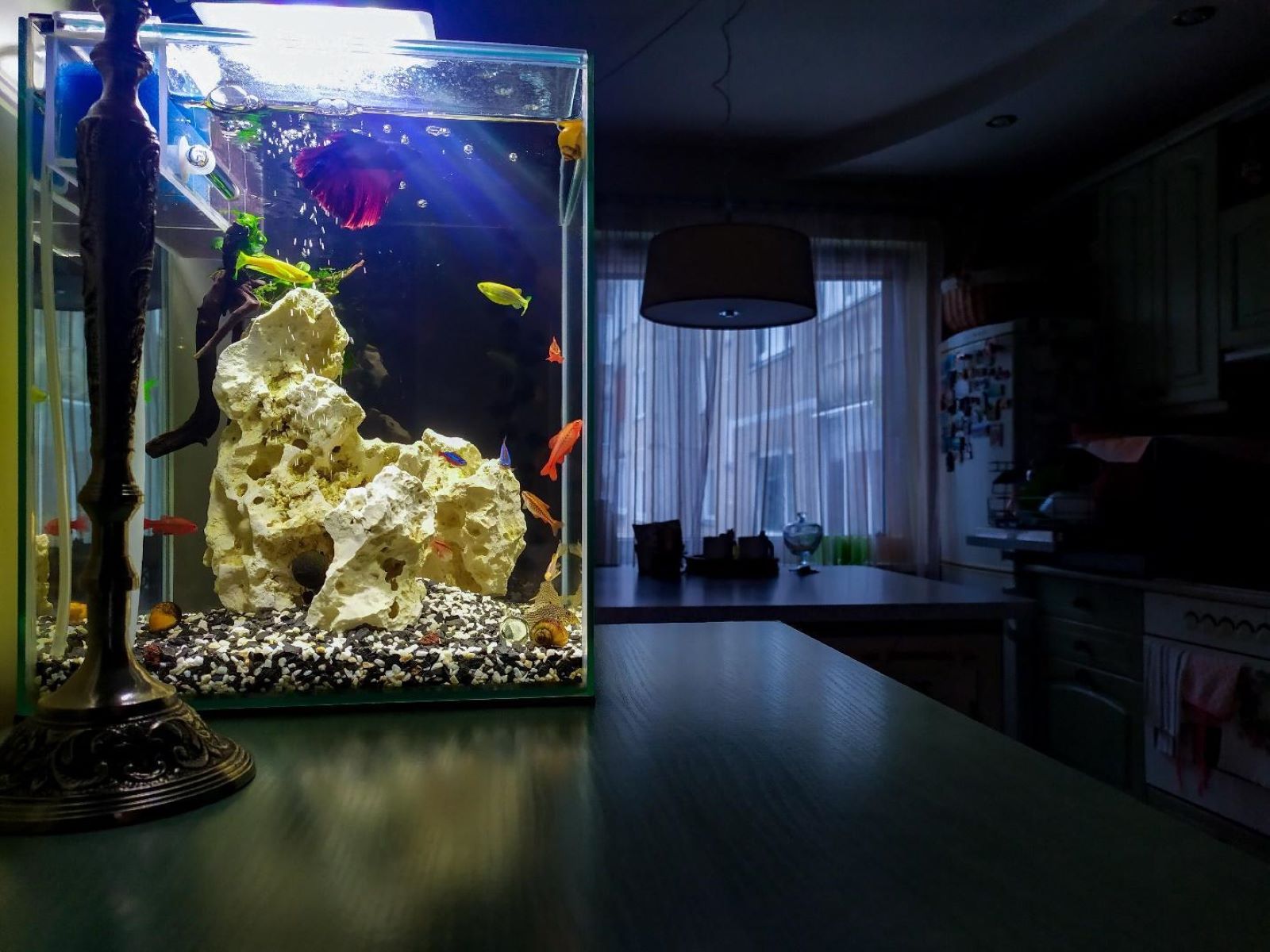 How Thick Should Aquarium Glass Be