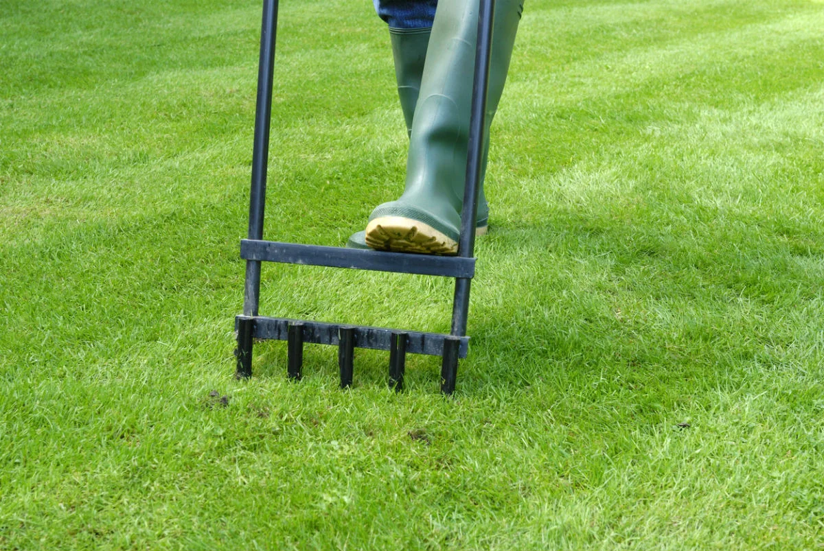 How To Aerate Grass