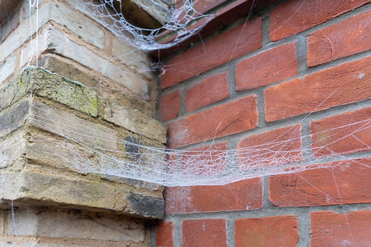 How To Attach Spider Web To Brick