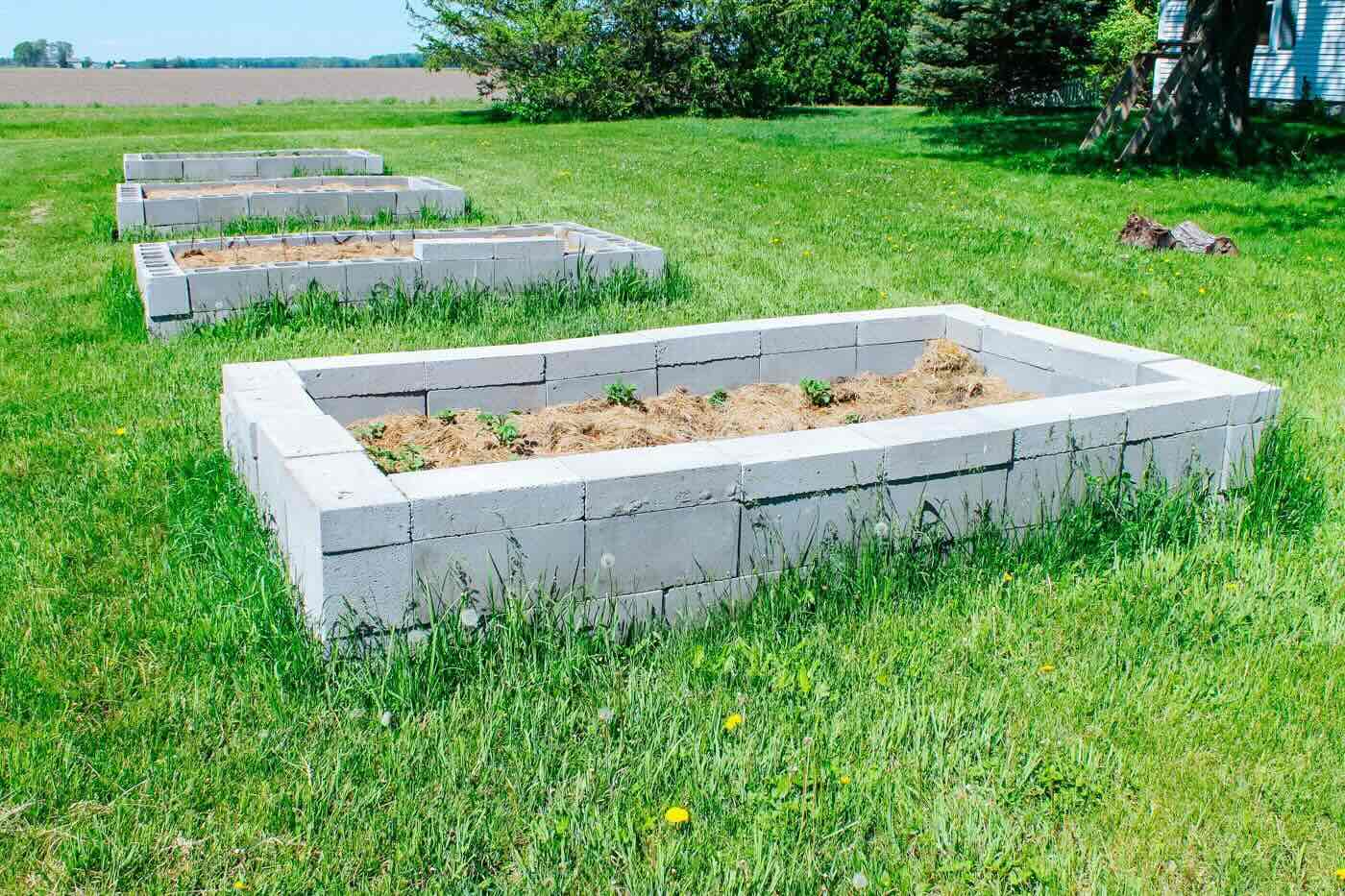 How To Build A Cinder Block Raised Garden Bed