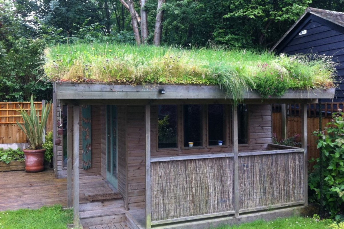 How To Build A Green Roof On A Shed
