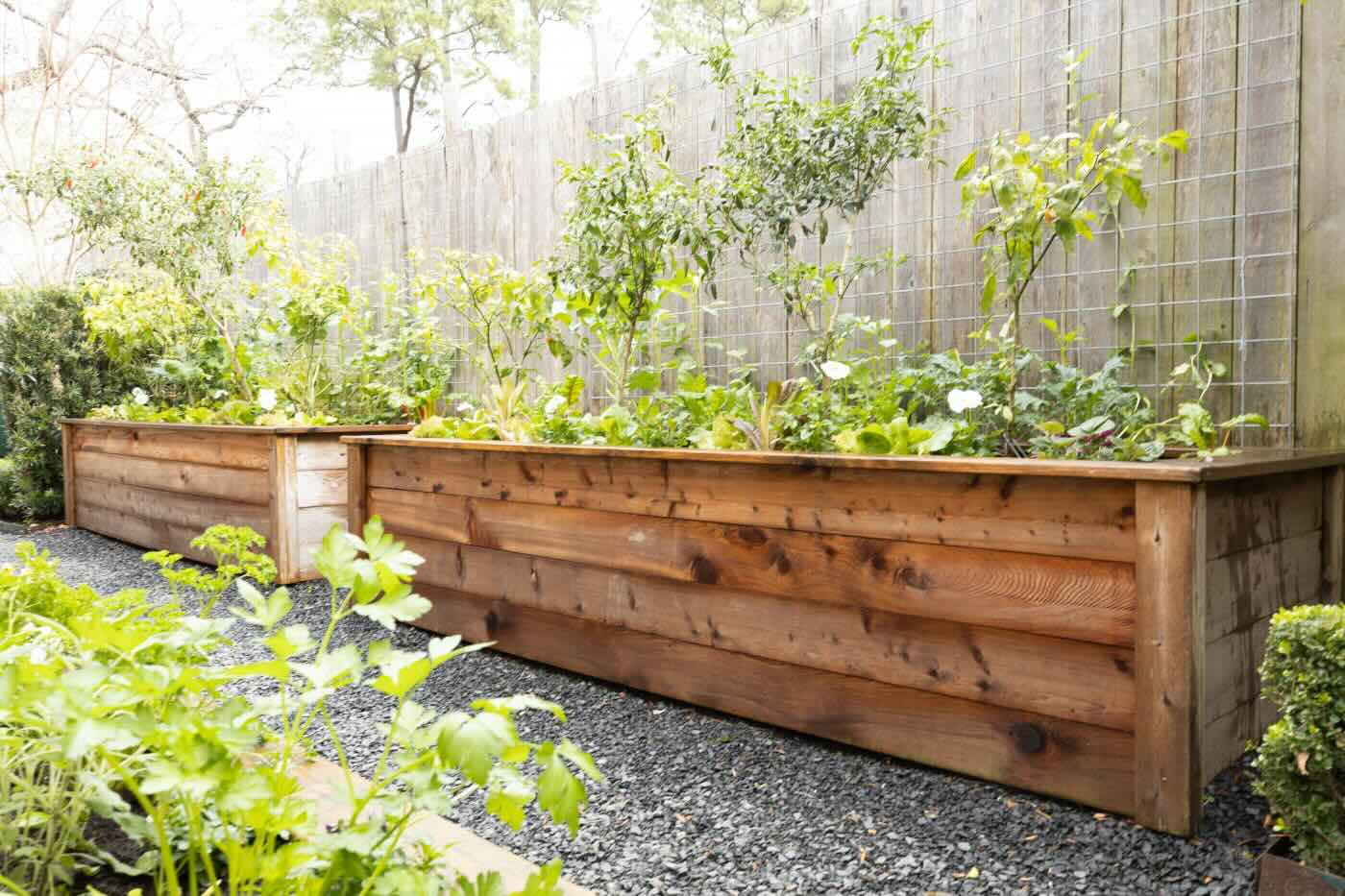 How To Build A Raised Garden Bed Against A Fence