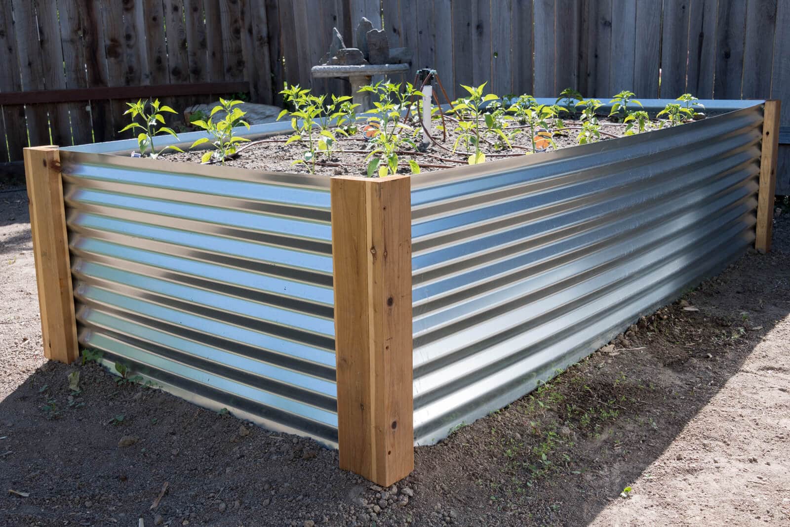 How To Build A Raised Garden Bed With Corrugated Metal