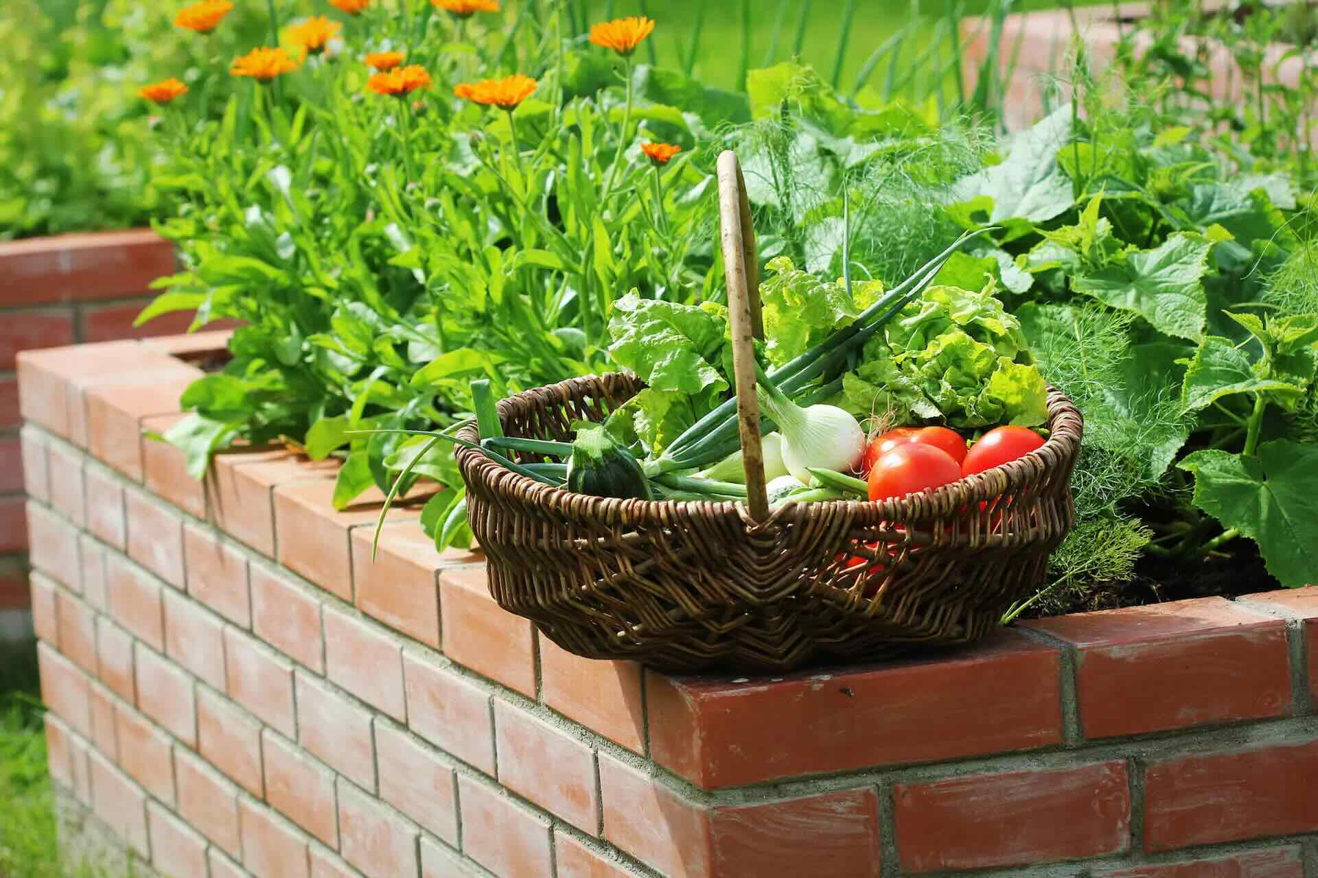 How To Build Brick Raised Beds
